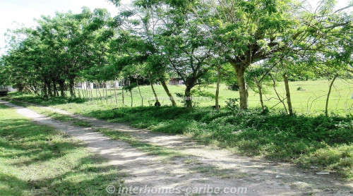 photos for SOSUA: LOT ANTONIO